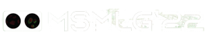 MSMLG 2022